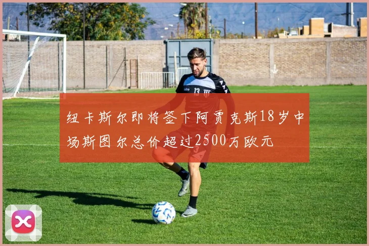 纽卡斯尔即将签下阿贾克斯18岁中场斯图尔总价超过2500万欧元